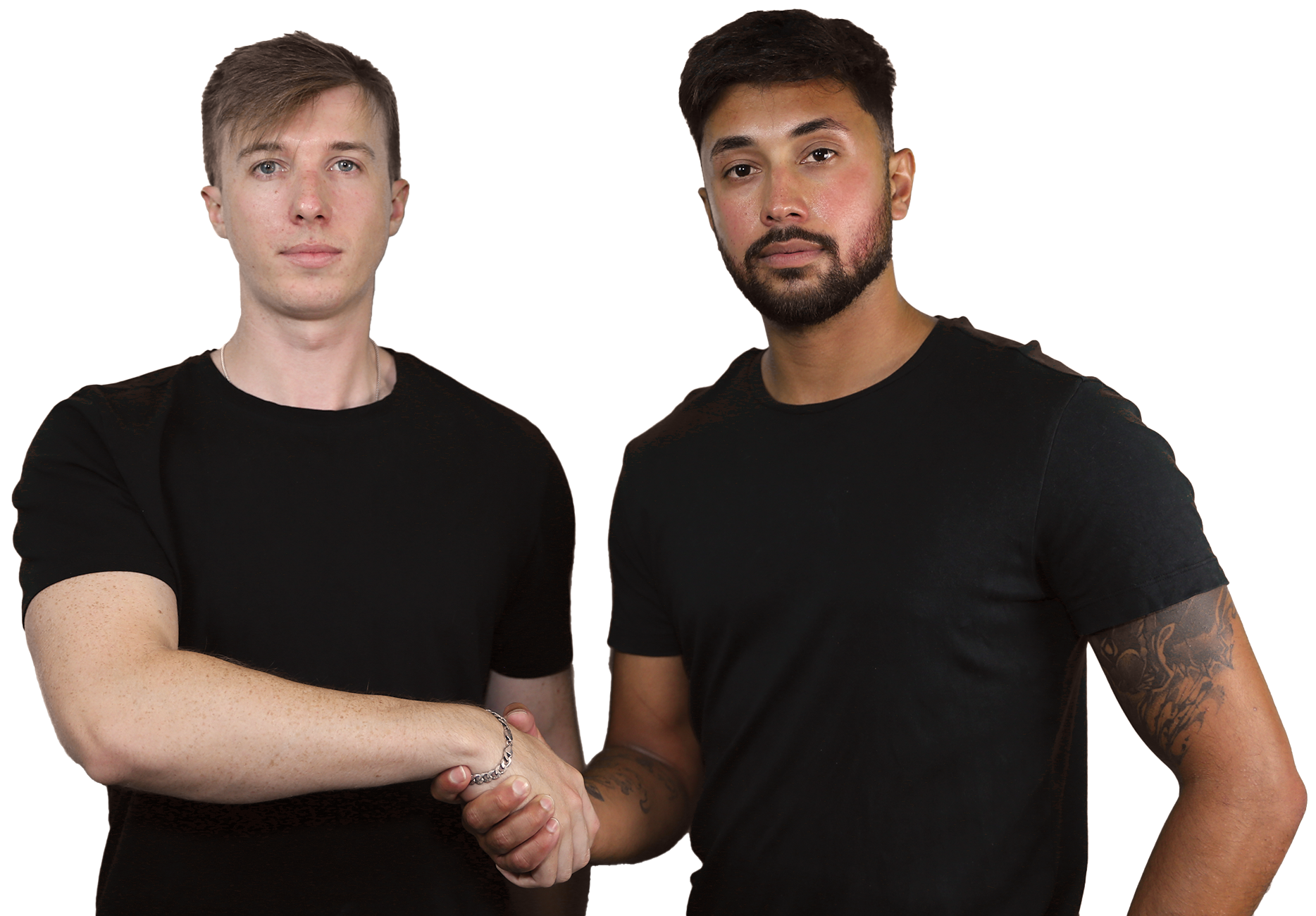 Professional Handshake